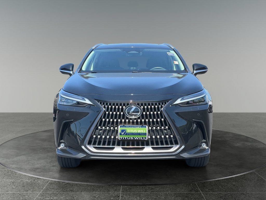 2024 Lexus NX 350h Luxury