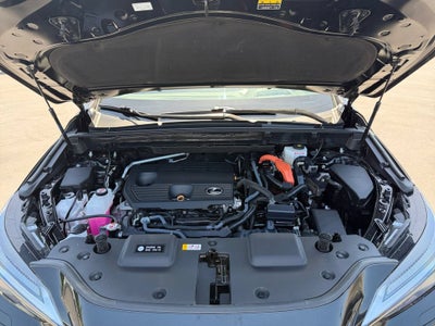 2024 Lexus NX 350h Luxury