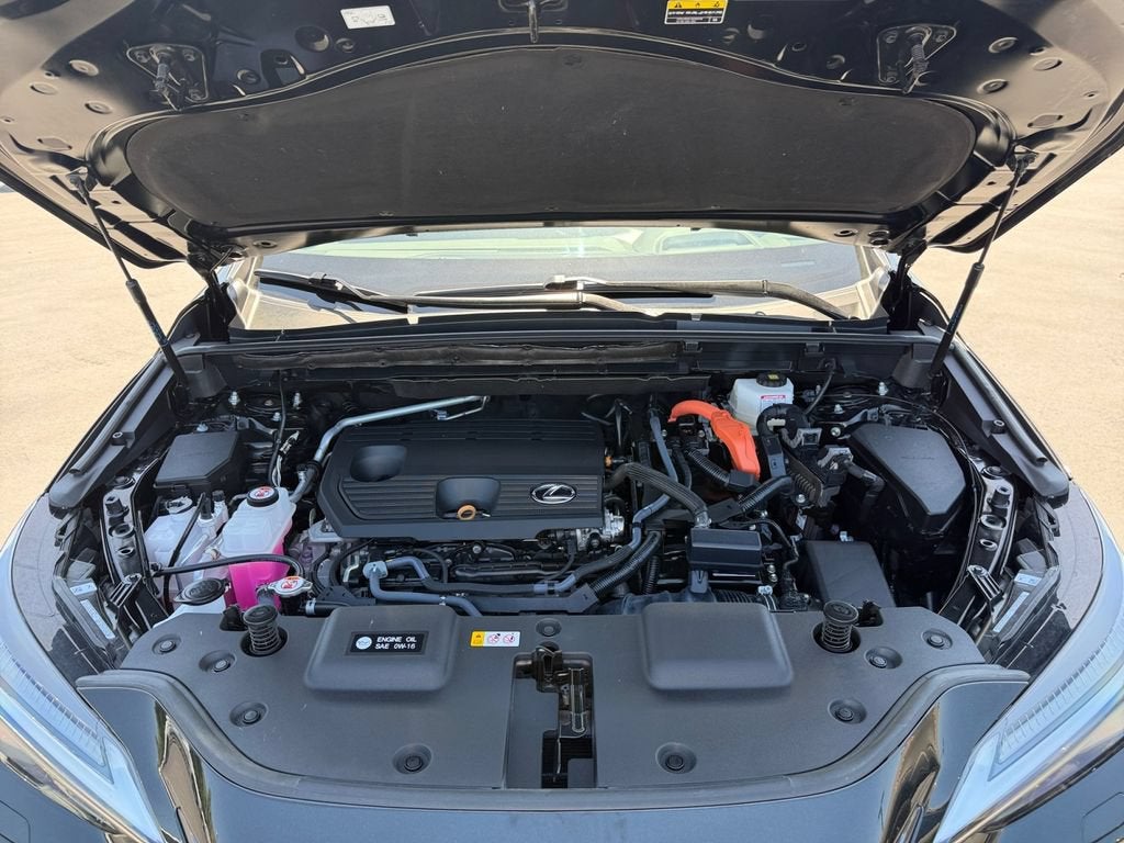2024 Lexus NX 350h Luxury