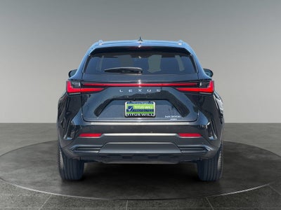 2024 Lexus NX 350h Luxury