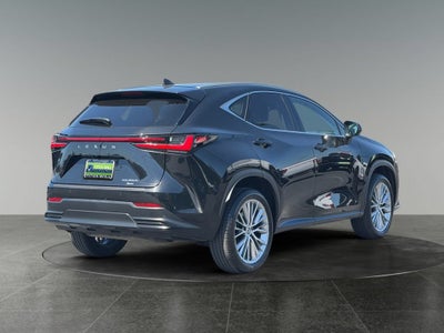 2024 Lexus NX 350h Luxury