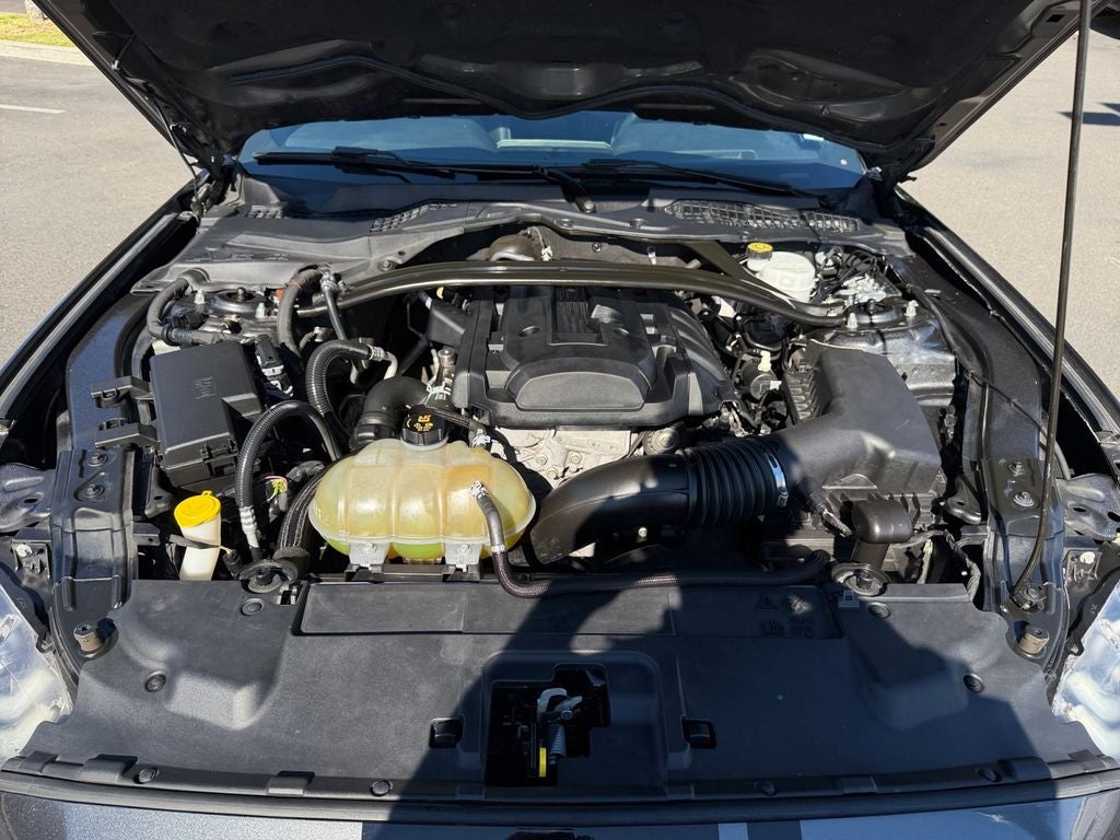 2019 Ford Mustang EcoBoost Premium