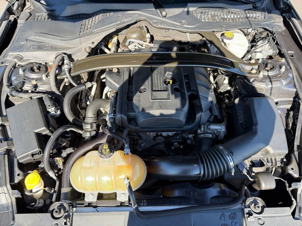 2019 Ford Mustang EcoBoost Premium