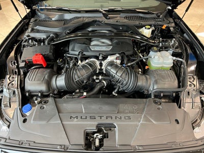 2025 Ford Mustang Dark Horse