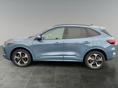 2024 Ford Escape ST-Line Elite