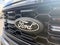 2026 Ford F-150 STX Lobo