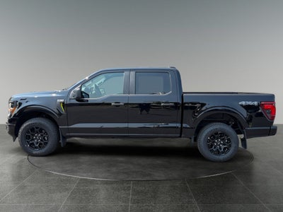 2025 Ford F-150 STX GOLD CERTIFIED PRE-OWNED