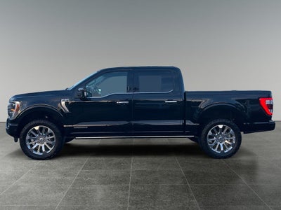 2023 Ford F-150 Limited