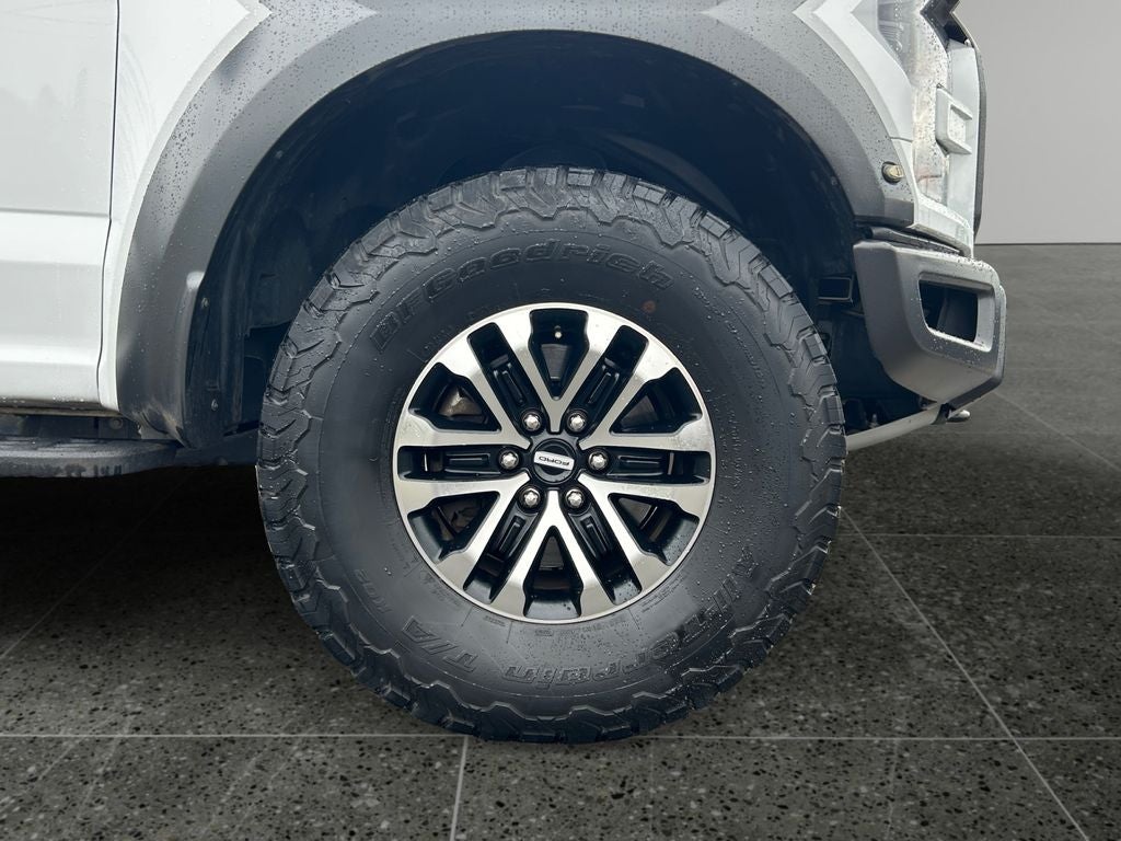 2019 Ford F-150 Raptor