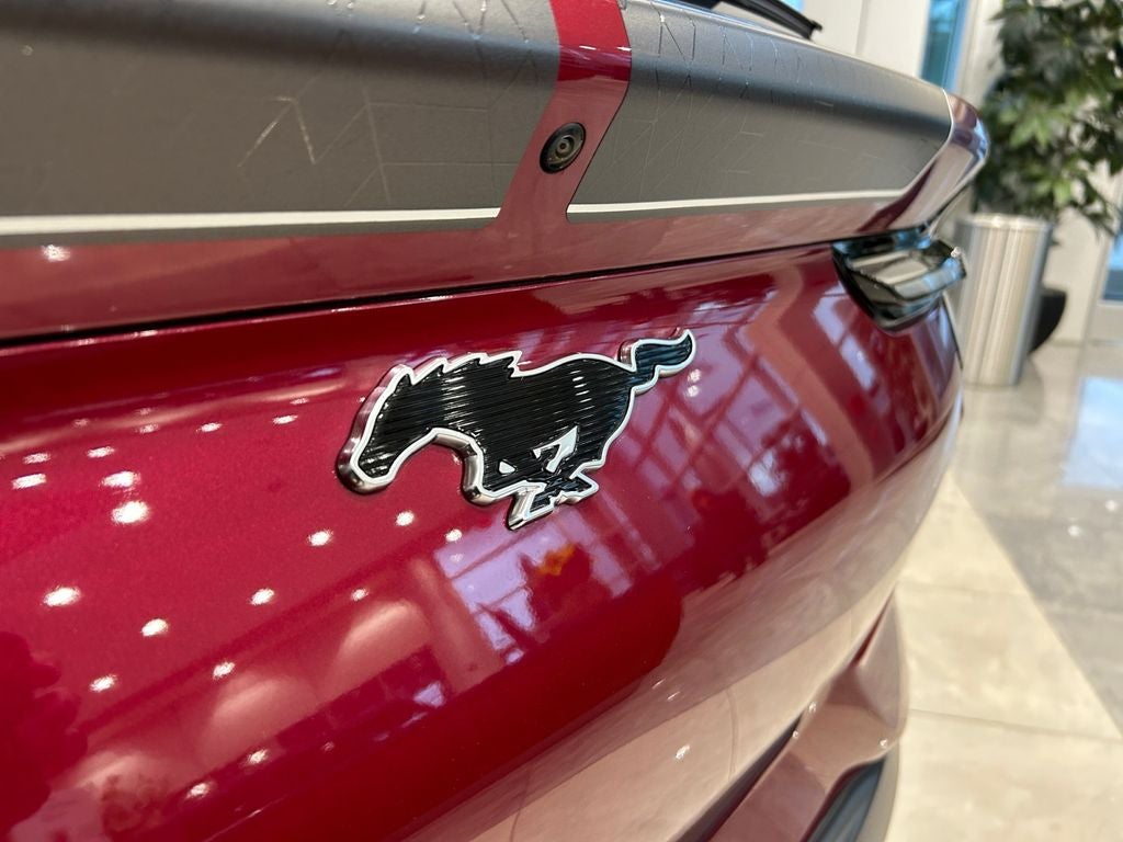 2025 Ford Mustang Mach-E GT