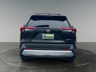 2019 Toyota RAV4 Adventure
