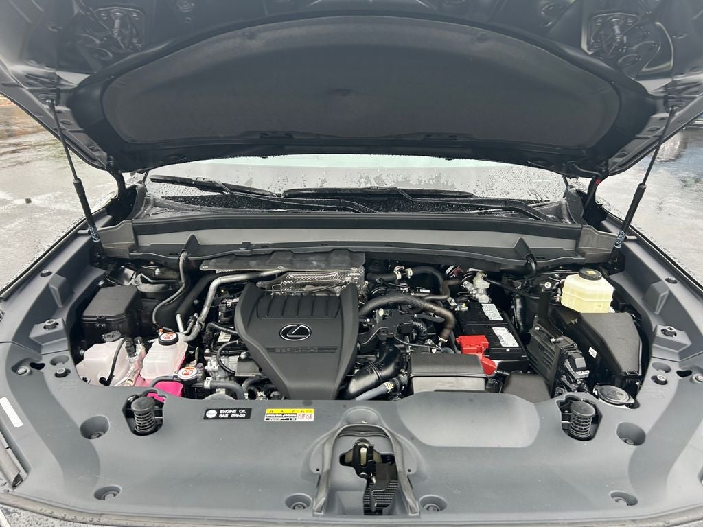 2024 Lexus TX 350 Premium
