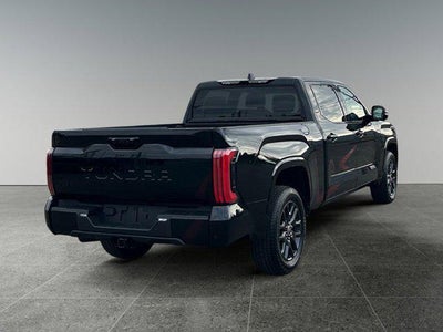2023 Toyota TUNDRA 4X4 Platinum