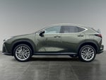 2025 Lexus NX 350h Premium