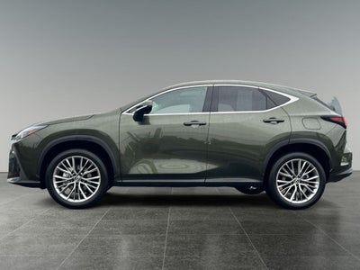 2025 Lexus NX 350h Premium