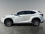 2020 Lexus NX 300h